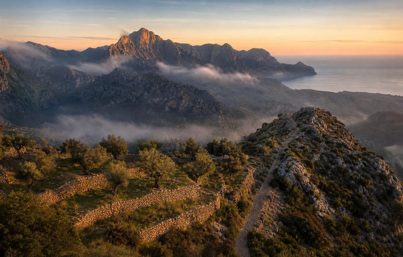 Wandern in der Serra de Tramuntana: 5 spektakuläre Routen für Einsteiger und Profis